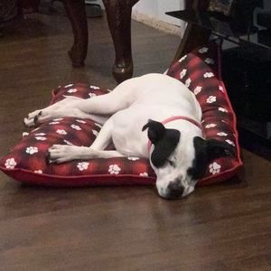 Meet your Posher, Jorge